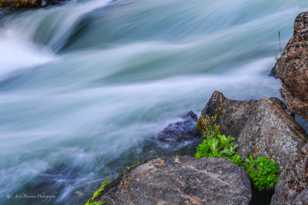 Deschutes River-1350 Deschutes River-1350